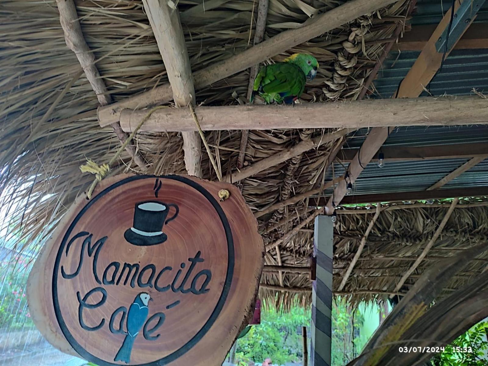 Hotel Mamacita Cafe House Moyogalpa Exterior foto