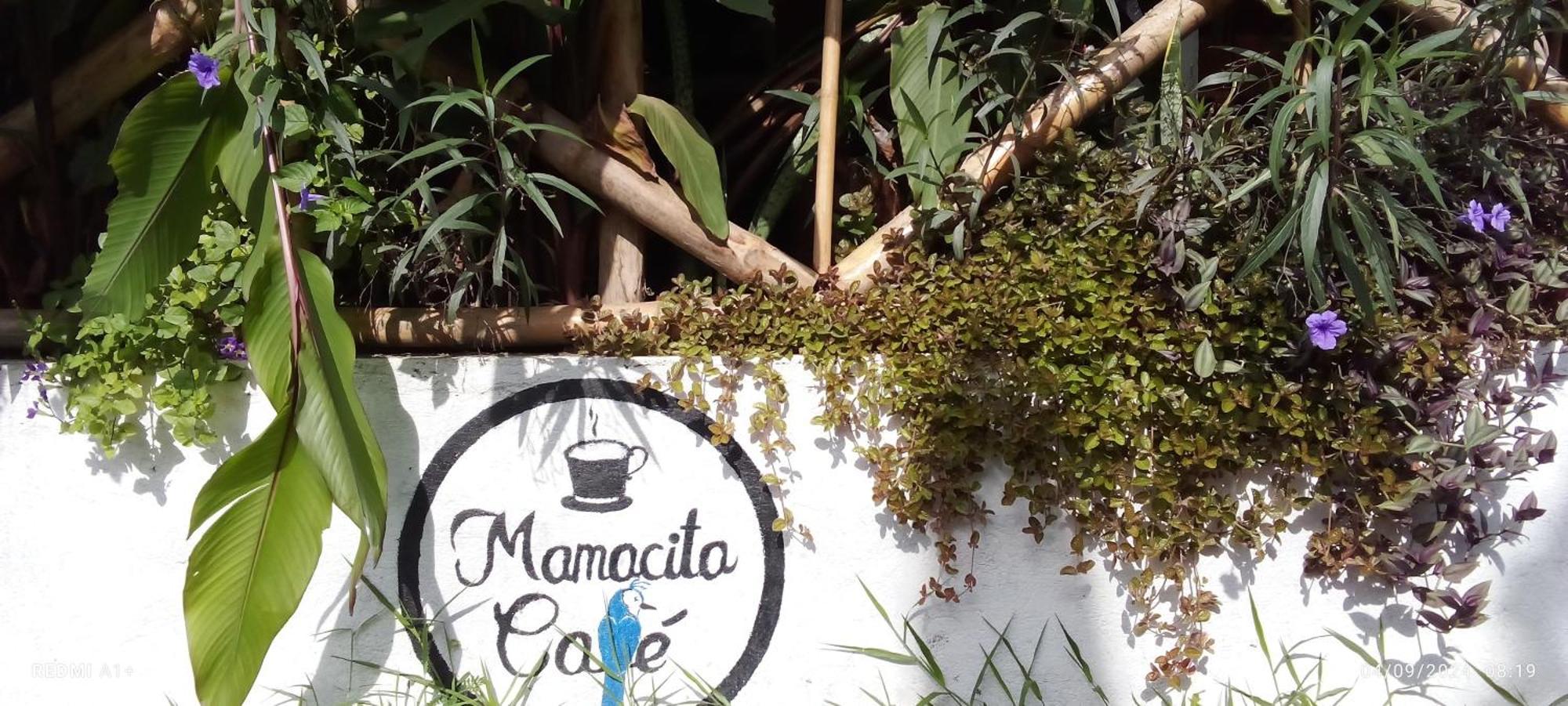 Hotel Mamacita Cafe House Moyogalpa Exterior foto
